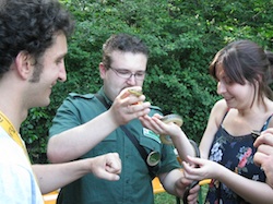 parco pineta scoperta natura